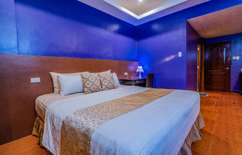 Hotel Palacio Gallery